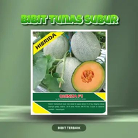 Benih Bibit Melon Quinza F1 20g Tunas Subur