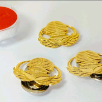 Bros Korpri ASN Lapis Emas Anti Karat Dan Anti Luntur / Pin Korpri Lapis Emas