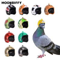 Pigeon Helmet Parrot Hat Bird Pet Protective Gear Sunscreen Rain Helmet Toy Bird Small Pet Chicken Supplies Clothing Accessories