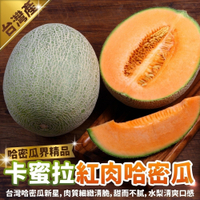【果農直配】台灣卡蜜拉紅肉哈密瓜2入組(共約5斤)