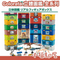 日本 立體圖鑑 Colorata 擬真模型 教學模型 獨角仙 熱帶魚 深海魚 爬行類 鍬形 深海生物  恐龍 盒玩 【小福部屋】