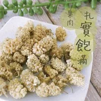 【五桔國際】土耳其白桑椹乾120g