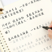 洪俊行草手寫體詩詞字帖本成年成人行草楷書網紅鋼筆硬筆臨摹男生練字貼女生字體漂亮行書大學生書法霸氣行楷