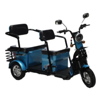 Cheap Scooter Passenger Homologation 3 Wheel Electric Tricycle