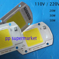 20W 30W 50W LED Floodlight COB Chip 110V 220V Input Integrated Smart IC Driver