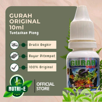 Gurah Original Burung Berkicau