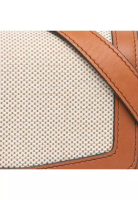 CELINE 二手 Celine Teen 帆布和小牛皮 Triomphe 斜背包