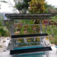 kandang ayam galvanis kapasitas 16 ekor
