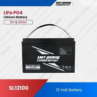 SMT Power Baterai Lithium LiFePO4 12V 100Ah Aki Battery Litium Battery SL12100