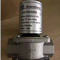GreenIsIand Gas Solenoid Valve GIV15A220A Class"A "gas valve 15W GIV10A220A GIV15A220A GIV65FB220A GIV15B220A