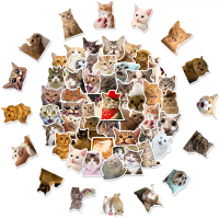 300pcs Set of Cute Cat Stickers Suitable for Cat Guidebooks Creative and Cute DIY Stickers