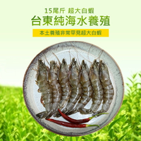 15尾斤超大白蝦