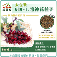 【綠藝家】大包裝G60-1洛神花種子35克(約830顆)