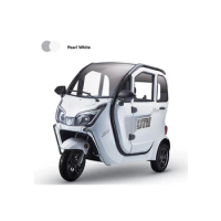 1500W Electric Tricycle New Scooter Three Wheels Passenger Vehicles Elderly Mobility Scooter Tuk Tuk Car