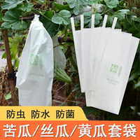 防蟲袋 水果套袋 絲瓜黃瓜青瓜苦瓜套袋專用袋防蟲袋子保護套紙袋防水瓜果蔬菜水果