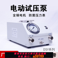 【台灣公司 可打統編】打壓泵手提式手動電動試壓泵PPR水管打壓機測壓機地暖泵測漏水用
