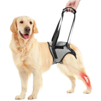 【Pet Universe 多寵宇宙】後肢輔助帶-北極灰(狗助行器 老犬 寵物輔助帶 輔助帶 狗狗輔助帶 狗狗輔助)