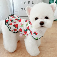 草莓情侶春秋寵物小狗狗連衣裙貓咪泰迪博美比熊雪納瑞小型犬衣服