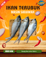 Borneo Signature Ikan Terubuk Masin Original Sarawak Saiz L dan 2XL | Ready Stok Johor Bahru