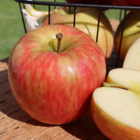 【阿成水果】紐西蘭富士蘋果80粒/18kgx1箱(天然純淨_冷藏配送)