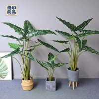 免運 工廠現貨 仿真樹 仿真綠植 仿真植物 裝飾假樹 新薩利安海芋仿真綠植仿生假樹植物盆栽室內客廳店鋪裝飾造景擺件免運 工廠現貨 仿真樹 仿真綠植 仿真植物 裝飾假樹免運/可開發票 工廠直銷 特價出 