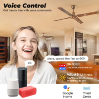 With Alexa Home Speed Control Switch. Intelligent Scenes Smart Life Ceiling Fan Controller For Smart Life App Mini