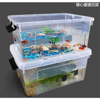 魚缸 烏龜缸 飼養箱 透明烏龜缸 養殖周轉箱 烏龜飼養箱 高透明魚缸 大號家用養殖周轉箱 養魚養烏龜飼養箱