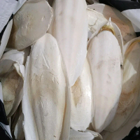 Asinan Tulang Sotong Jumbo untuk Burung Love Bird & Kenari Asinan Berkualitas Tinggi