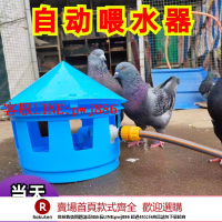 【咨詢客服驚喜多多】雞鴨信鴿子自動飲水器喝水賽鴿用品用具喂水器投食水壺鴿子食槽