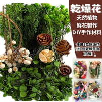 【A-ONE】乾燥花 魔法森林 永生花 DIY材料包 超值福包 短枝花材 花藝材料包 DIY配件 B10