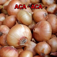 Bawang Bombay 1 KG - BAWANG BOMBAY SUPER MURAH 60/80 1 kg