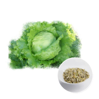 【蔬菜工坊】B15-1.早生結球萵苣種子(118)
