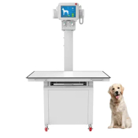 New Design High Frequency 20KW 200mA Veterinary Stationary Medical X-ray Equipment For Pet Hospital
