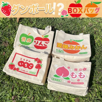 水果系環保購物袋 手提袋 便當袋 水果袋 環保袋 橘子 蘋果 蜜桃 草莓 青森蘋果 手提袋 購物袋