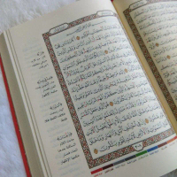 Mushaf Madinah Tajwid - Alquran Tajwid Khat Utsmani Standar Madinah - Al-Ghazi - Syaamil Quran