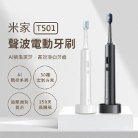 小米 米家 聲波電動牙刷 T501(電動牙刷 小米電動牙刷 四種清潔模式 全機防水)