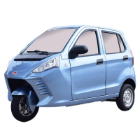 trike passenger tricycle tourist etrike complete with 3KW 60V AC induction motor best durable quality loading 300kgscustom