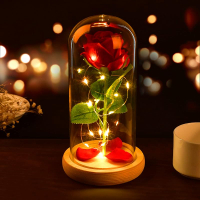 Beauty and The Beast Rose Eternal Rose in Glass Dome Enchanted Rose Glass with Pine Base LED Lights 