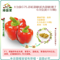 【綠藝家】大包裝G75.彩紅甜椒(紅色甜椒)種子0.9克(約110顆)