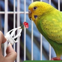 1Pc Small Pet Bird Food Holder Parrot Fruits Vegetables Clip Cuttlefish Bone Feeder Device Clamp Bird Cage Accessories