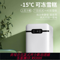 {可刷卡 打統編}德國工藝迷你小冰箱家用小型宿舍車載冰箱mini冷凍冷藏單人小冰柜