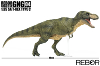 英國 REBOR Grab N Go GNG系列 04 SA T-Rex Type C 玩具 擺飾 模型公仔 恐龍 約40公分