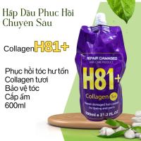 Hấp dầu phục hồi chuyên sâu Collagen H81+ 600mlsdcs111211141