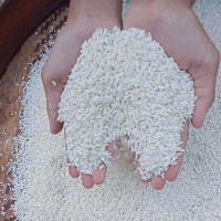 Beras Ketan putih Delanggu 1 kg