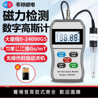 【台灣公司 超低價】高斯計表面磁力儀磁場強度檢測儀高精度磁力計韋特WT108特斯拉計