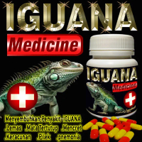 OBAT HEWAN IGUANA MEDICINE OBAT IGUANA LEMAS TIDAK NAFSU MAKAN MATA TERTUTUP KERACUNAN TIDAK NAFSU M