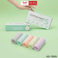 [LIVE] CB105 - Combo 5 quần lót cotton VINGO trơn kháng khuẩn VNGO