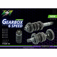 ESR MOTOR RED LEO GEAR 6 SPEED Y15 Y15ZR Y16ZR LC135 5S LC5s FULL SET GEAR 6SPEED RED LEO ORIGINAL E