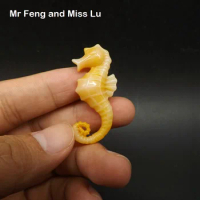 Yellow Color Sea Horse Flat Back Resin Model Toy DIY Small Size