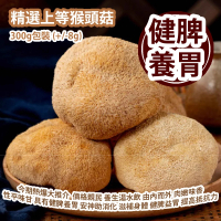 精選上等猴頭菇 300g包裝 (+/-8g) 今期熱爆系列大推介  價格親民 養生湯水飲 由內而外 肉嫩味香 其性平味甘 具有健脾養胃 安神助消化 滋補身體 健脾益胃 提高抵抗力 平行進口產品 